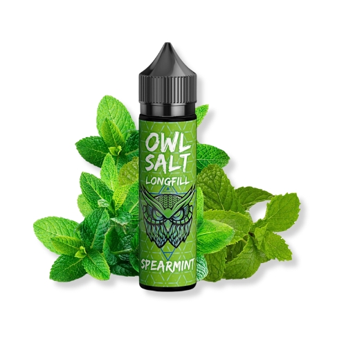 OWL Salt Longfill Spearmint Aroma 10ml