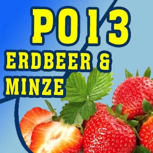 P013 - 325ml Shisha Molasse - Erdbeere und Minze