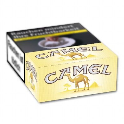 Camel (10x20)